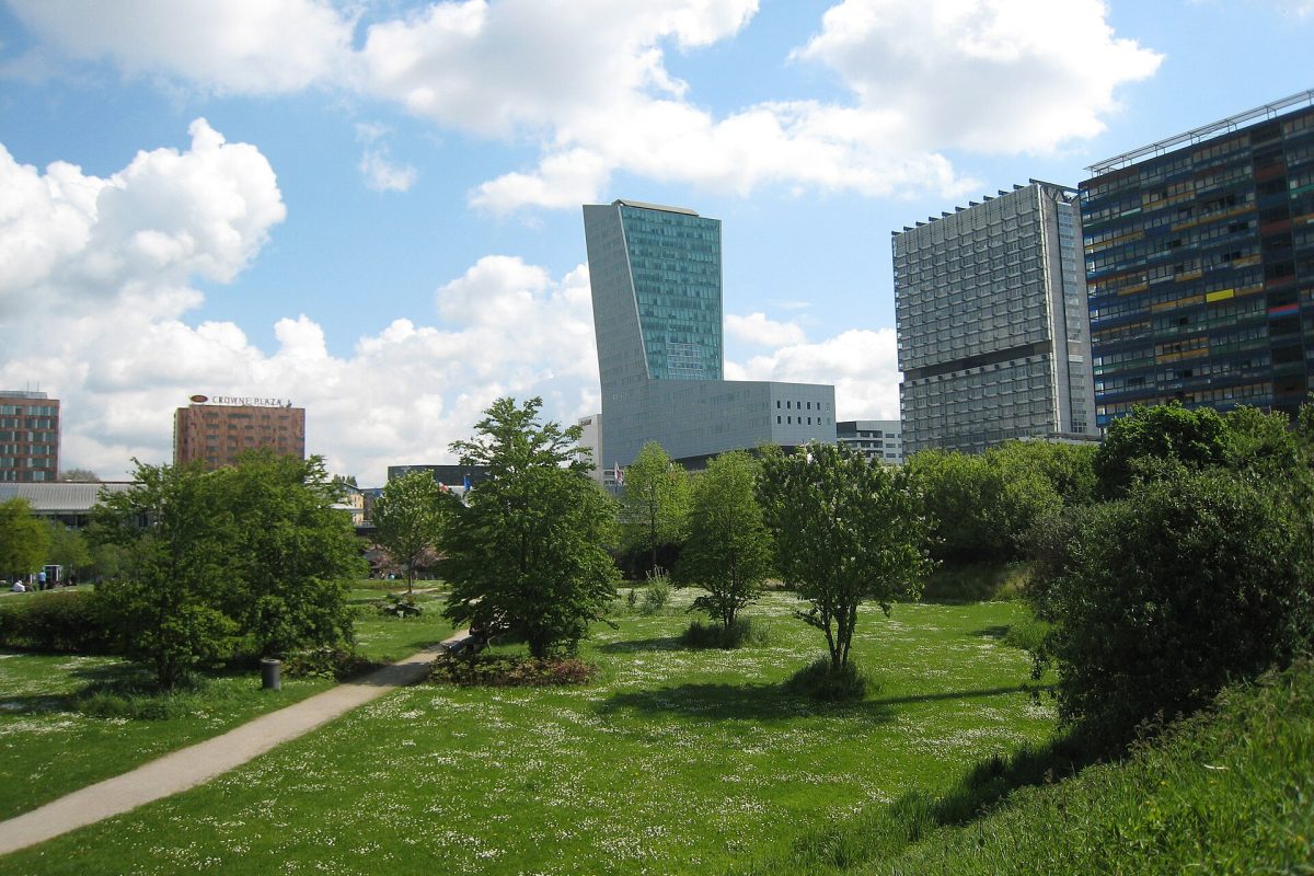 Parc urbain devant les tours d’Euralille, à Lille